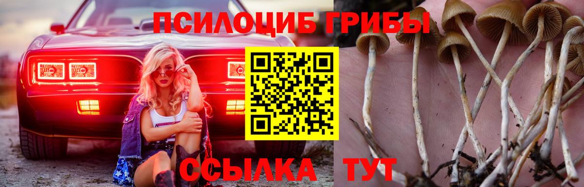 Галлюциногенные грибы GOLDEN TEACHER Малгобек